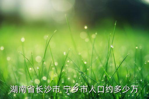 宁乡的农业状况怎么样