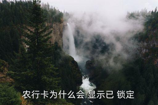 农业银行怎么显示密码锁定