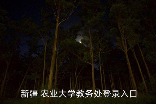 新疆农业大学怎么查专业