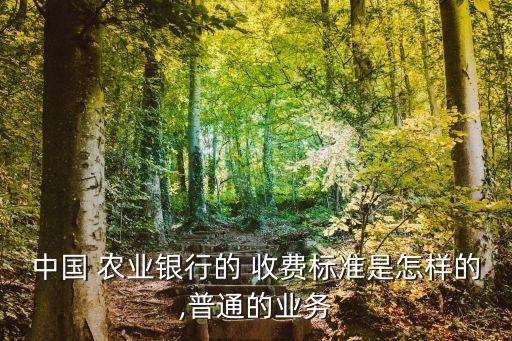 农业银行验资户怎么收费