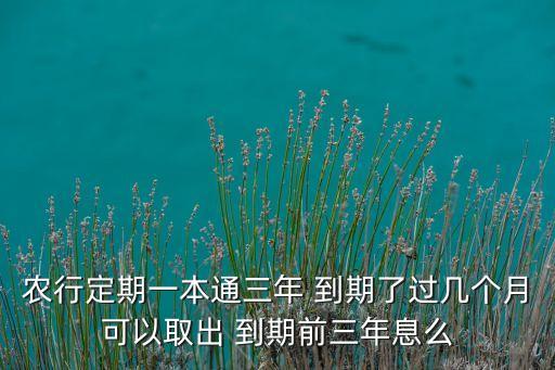 农业银行存单到期了怎么取