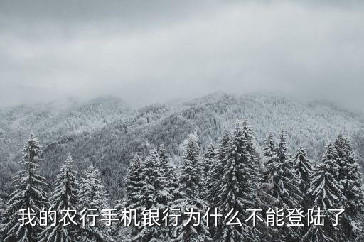 中国农业银怎么打不开