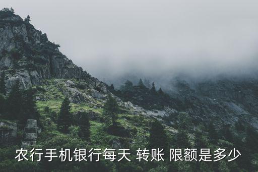 农业银行怎么提醒转账限额