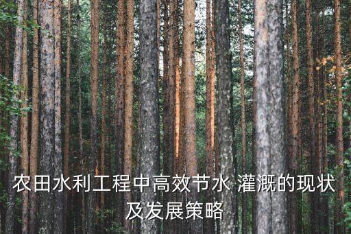 农业灌溉计划书怎么写好,农业智慧灌溉计划书