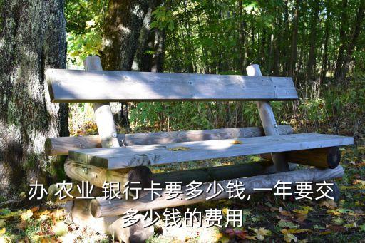 办理农业银行卡怎么扣钱,农业银行卡办理在线申请