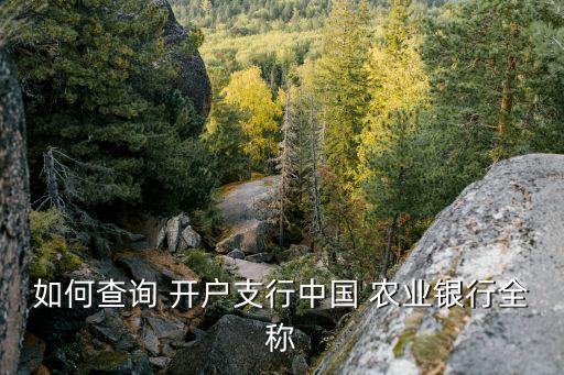 如何查询 开户支行中国 农业银行全称