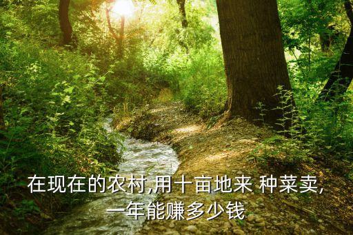 都市农业怎么种菜赚钱,种菜赚钱怎么玩
