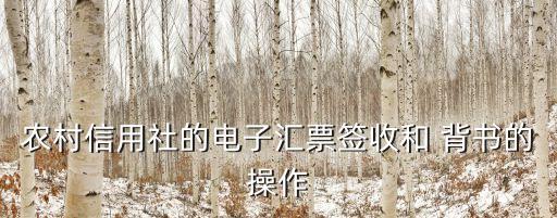 农业银行怎么背书给别人