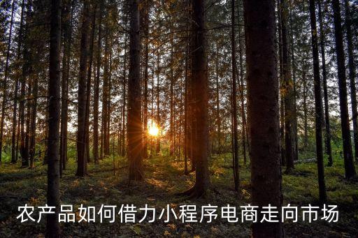 农业品牌创塑是什么意思,打造农业品牌的起点和基础是什么