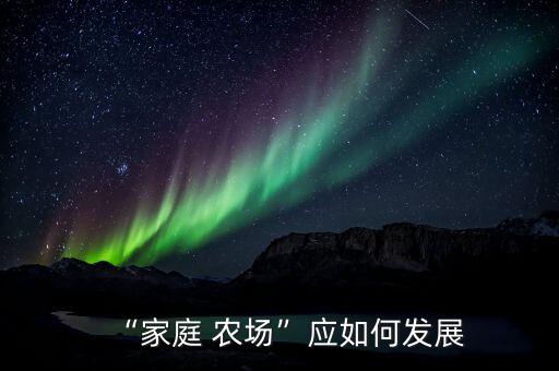 “家庭 农场”应如何发展