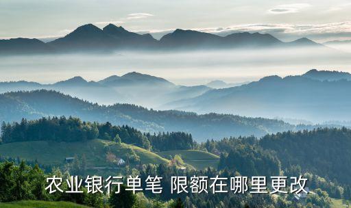 农业银行怎么看自己限额