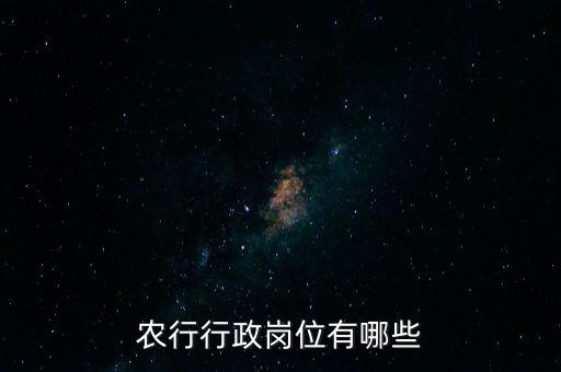 农业银行入职后做什么工作