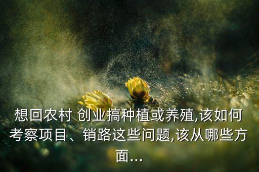 农业创业无路怎么找
