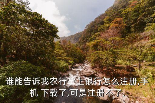 农业银行怎么下载不上,怎么下载农业银行APP