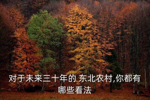 东北农业县城有什么发展,东北以什么农业为主