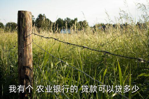 农业贷款情况表格怎么填