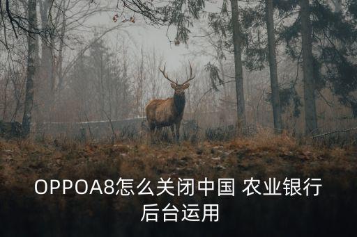 农业银行后台怎么处理