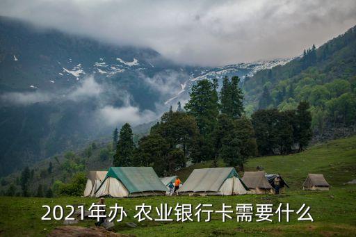 融安农业卡怎么样办理业务