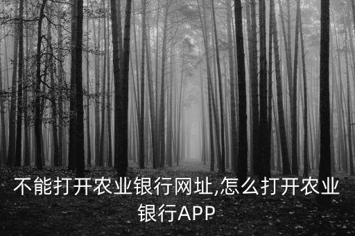 怎么不能打开农业银行网址,怎么打开农业银行APP