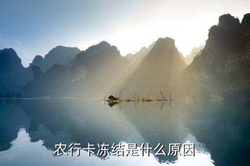 农业银行怎么被挂失了