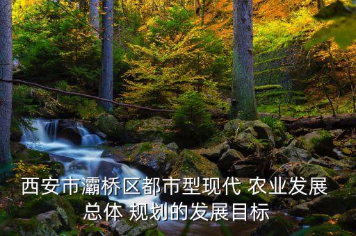 农业加工厂总体规划怎么写