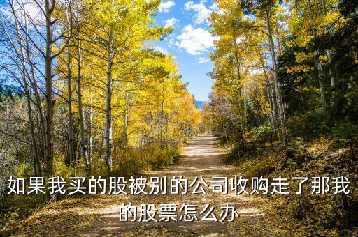 买了华英农业股怎么办