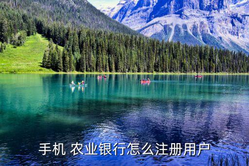 农业银行怎么开通id面容