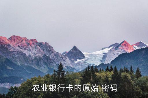 农业银行存折怎么查询密码