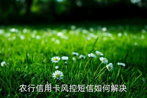 农业银行刷卡违规怎么处理