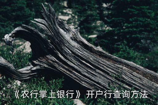 手机怎么查农业开户行,农业银行卡怎样查开户行地址