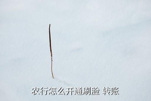 农业银行转账怎么激活