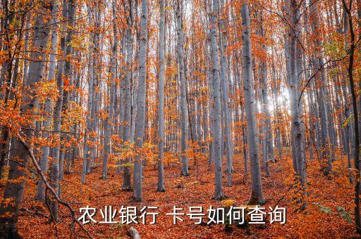 老式农业卡怎么查卡号,怎么查自己有没有农业卡