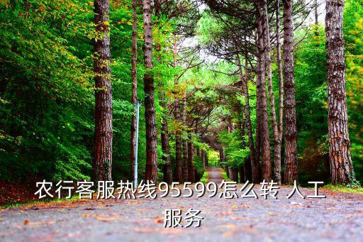 农业银行的人工服务怎么打