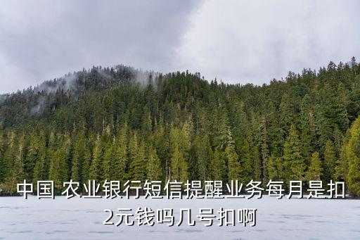 农业银行信息费怎么缴费