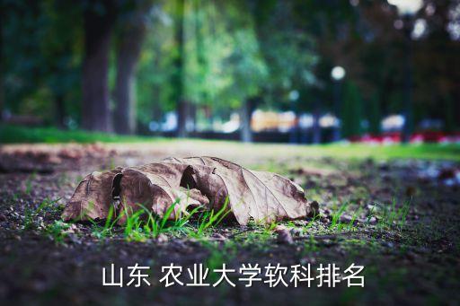 山东农业的法学怎么样,山东石油化工学院法学怎么样
