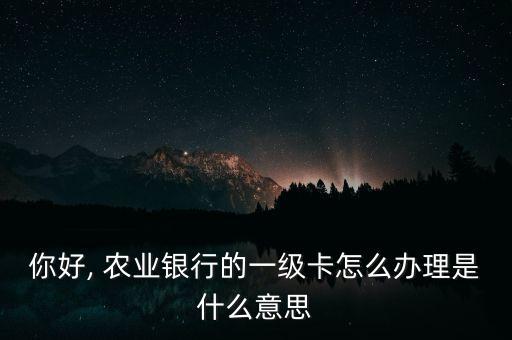 农业银行怎么申请实体卡,广州社保卡农业银行申请实体卡