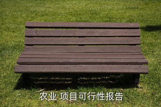  农业 项目可行性报告