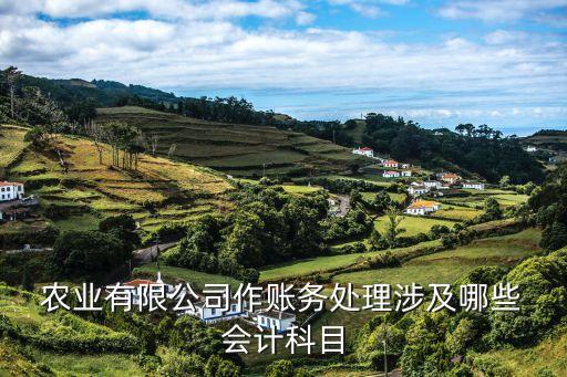农业怎么会计核算,农业公司流转土地的会计核算