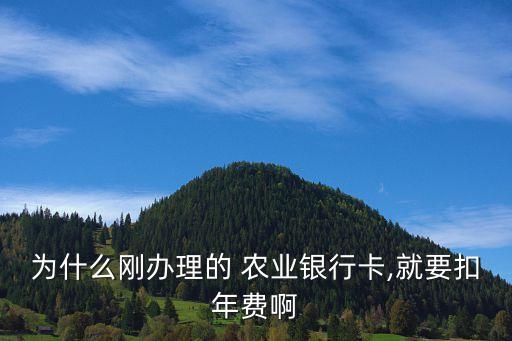 农业银行怎么还收卡费啊,为什么农业银行卡只收不付