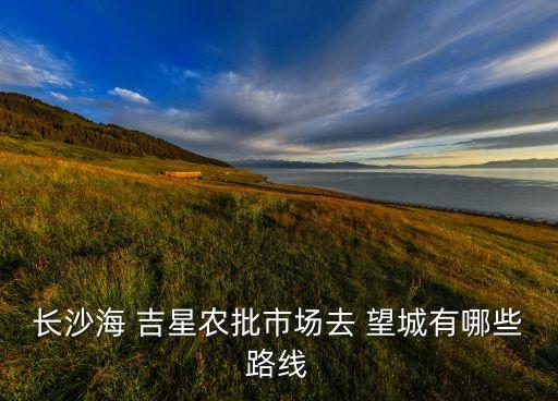 望城吉星农业怎么样