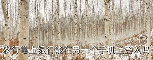 重庆农业银行怎么查余额,农业银行95599短信查余额