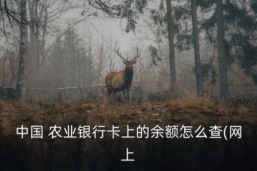 中国 农业银行卡上的余额怎么查(网上