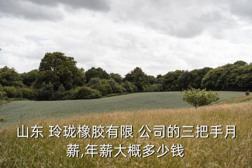 玲珑农业公司怎么样啊,奥德雷斯农业公司怎么样