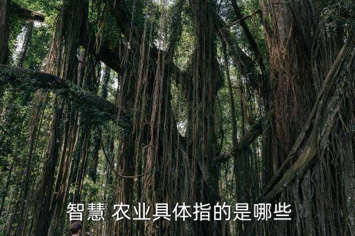 怎么下载国家智慧农业,国家对智慧农业的最新政策