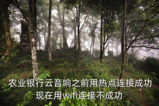 农业银行云音箱怎么不响
