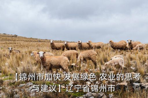 【锦州市加快 发展绿色 农业的思考与建议】辽宁省锦州市