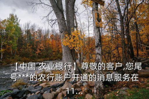 农业银行消息服务费怎么扣