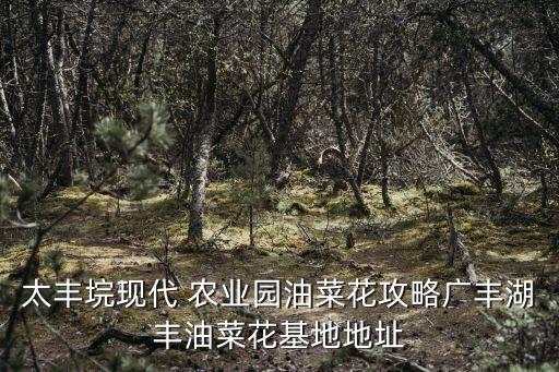 从化稻草农业公园怎么去