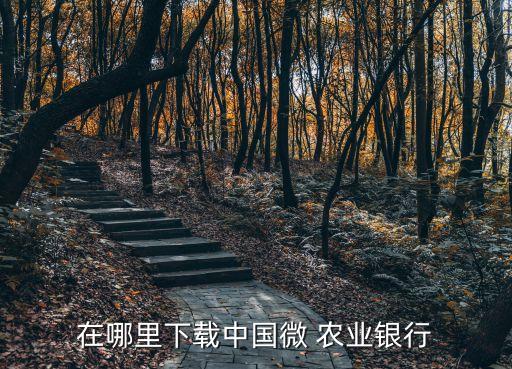 怎么安装手机农业银行微信,安装农业银行手机app