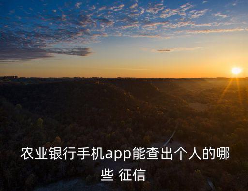 农业银行怎么查征信记录,手机农业银行怎么查征信